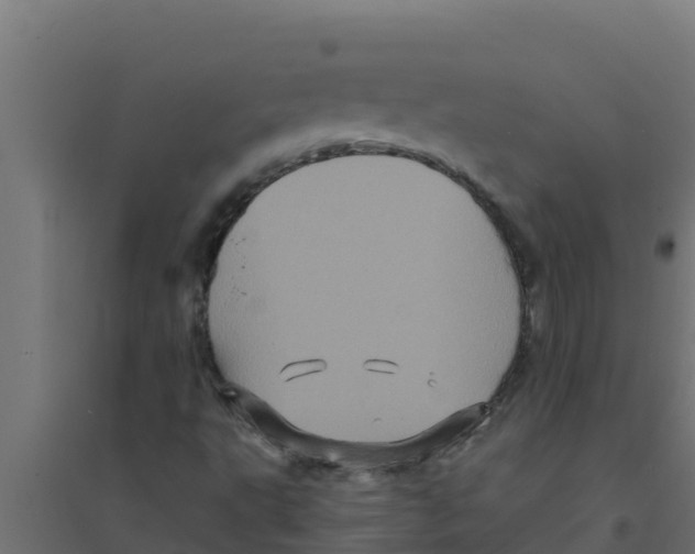 X0000094191495200711241603