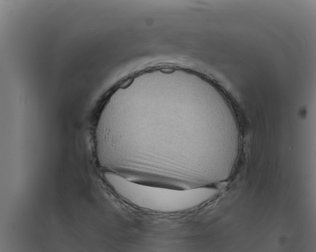 X0000094191496200711241603