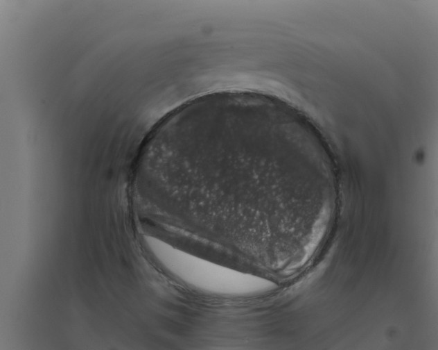 X0000094191497200711241603