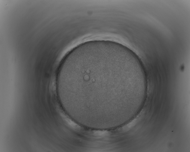 X0000094191498200711241603