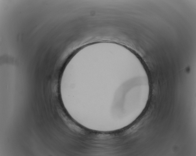 X0000094191499200711241603