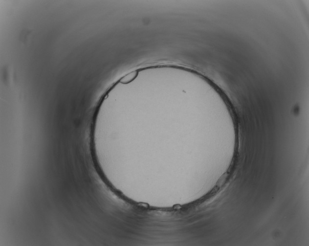 X0000094191500200711241603