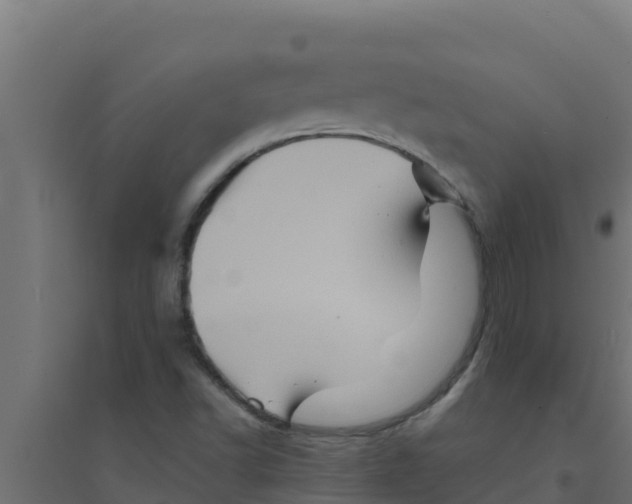 X0000094191502200711241603