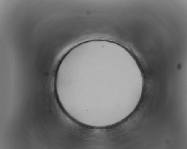 X0000094191504200711241604