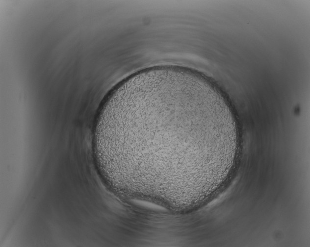 X0000094191505200711241604