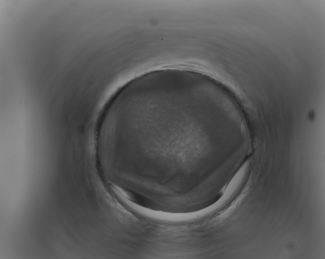 X0000094191506200711241604