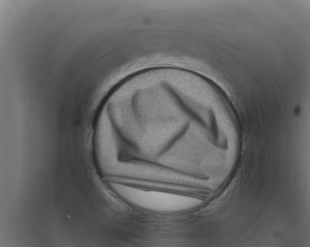 X0000094191507200711241604