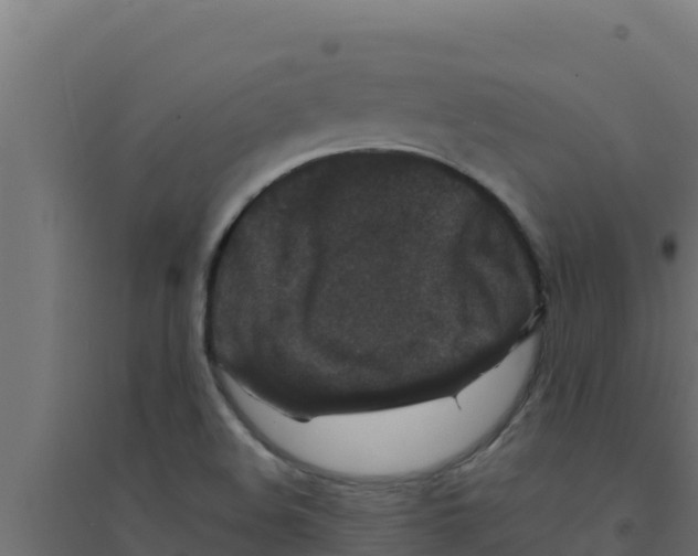 X0000094191508200711241604