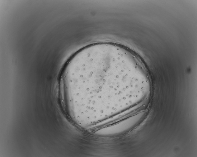 X0000094191509200711241604