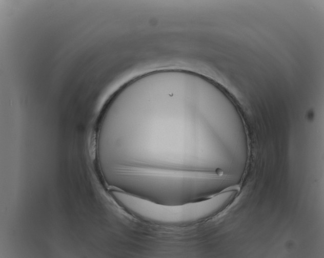 X0000094191510200711241604