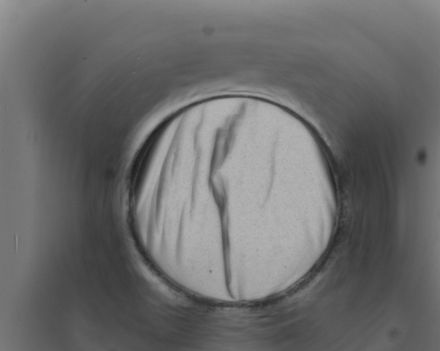 X0000094191511200711241604