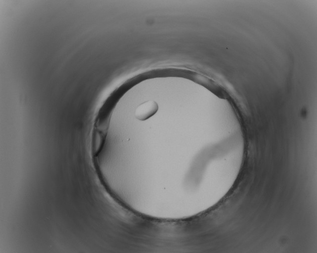 X0000094191512200711241604