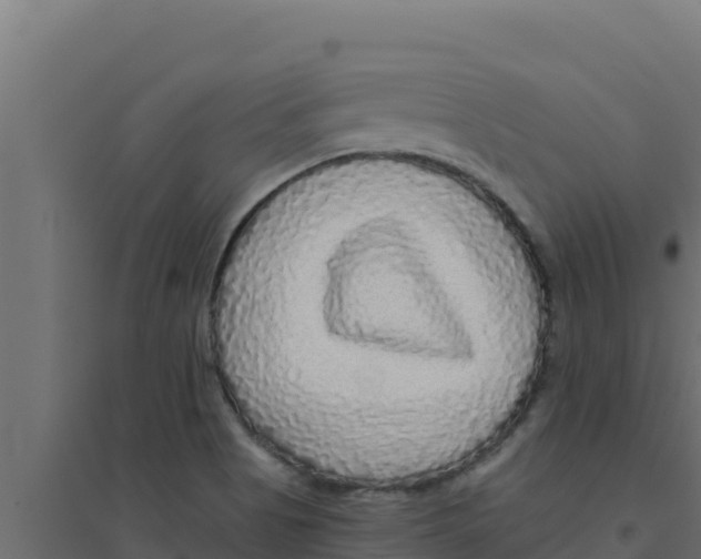 X0000094191513200711241604