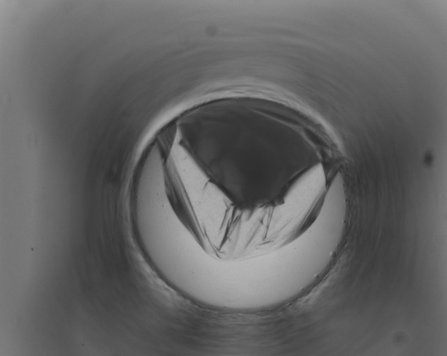 X0000094191514200711241604