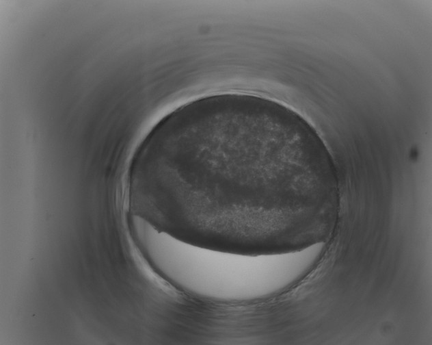 X0000094191515200711241604