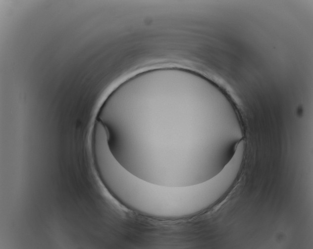 X0000094191516200711241604