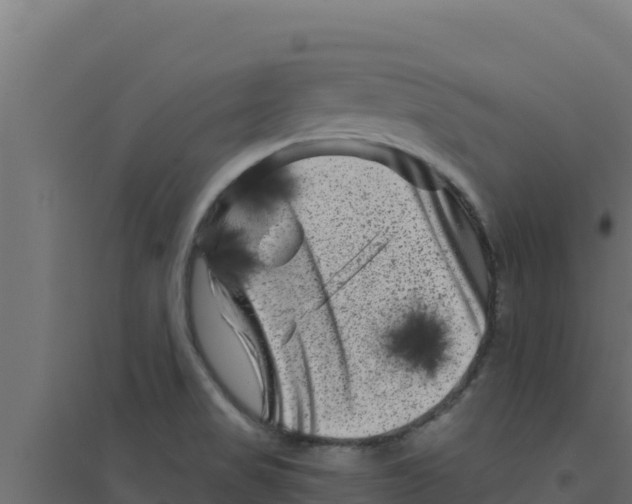 X0000094191517200711241604