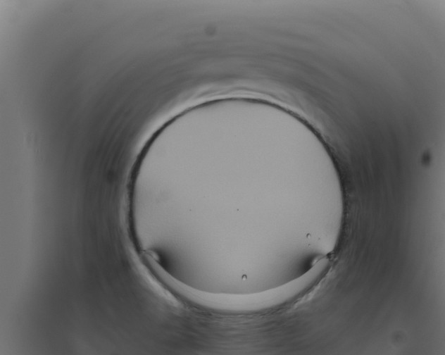 X0000094191518200711241604