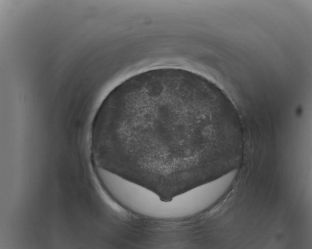 X0000094191519200711241604