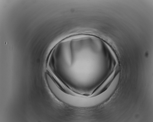 X0000094191520200711241604