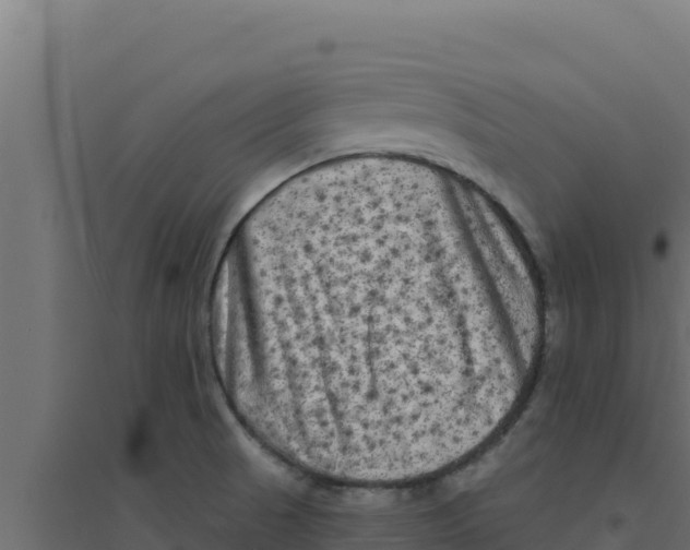 X0000094191521200711241604