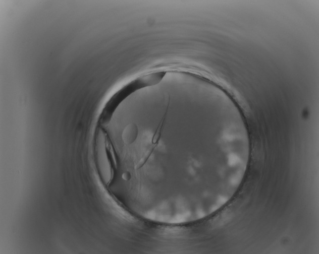 X0000094191522200711241604