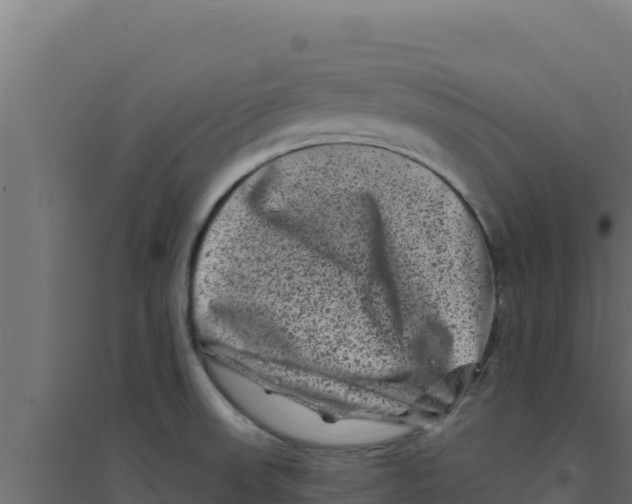 X0000094191523200711241604