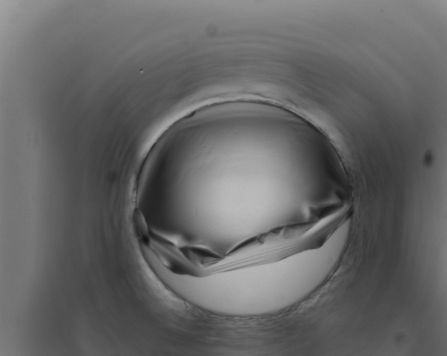 X0000094191524200711241604