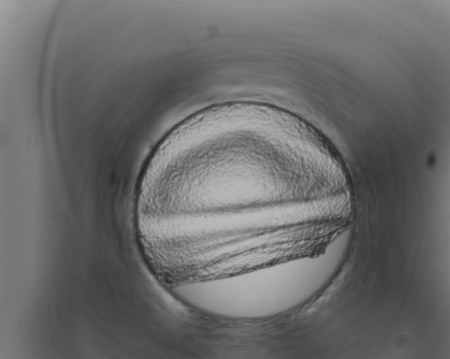 X0000094191525200711241604