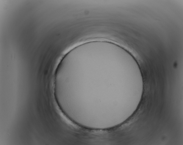 X0000094191526200711241604