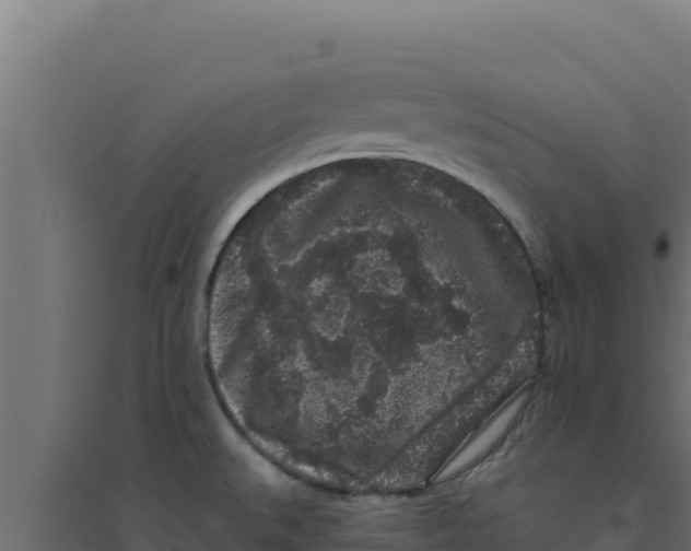 X0000094191527200711241604