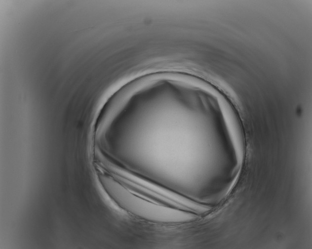 X0000094191528200711241604