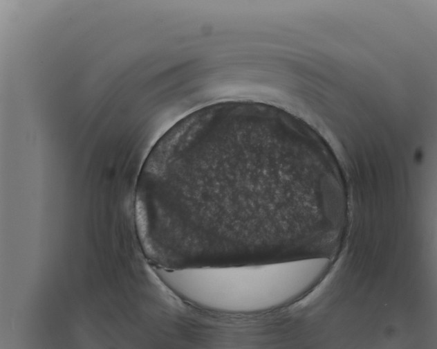 X0000094191529200711241604