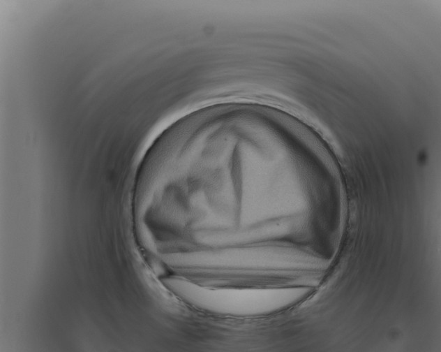 X0000094191530200711241604