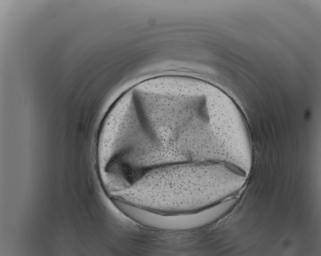 X0000094191531200711241604