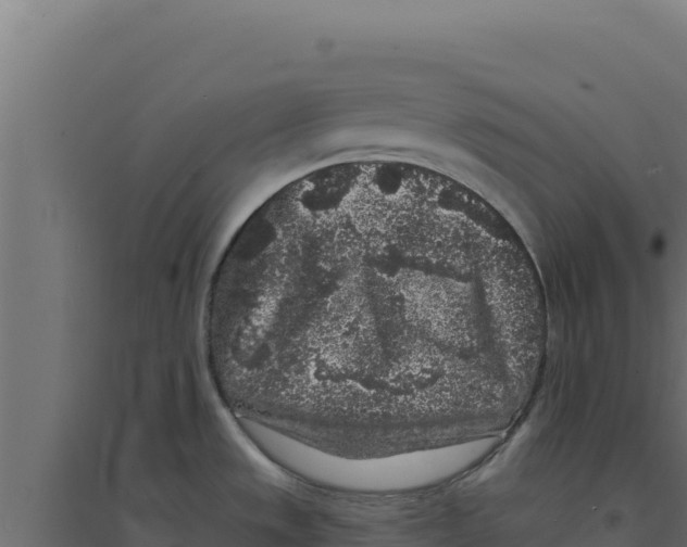 X0000094191533200711241604