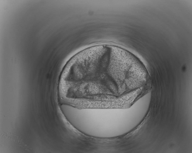 X0000094191534200711241604