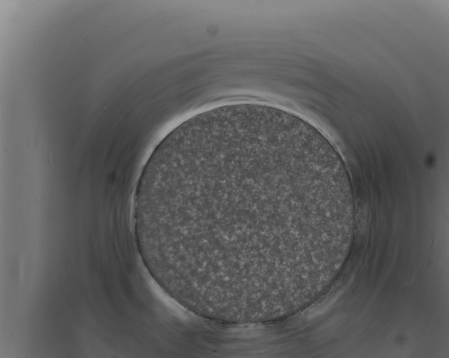 X0000094191535200711241604