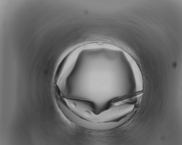 X0000094191536200711241604