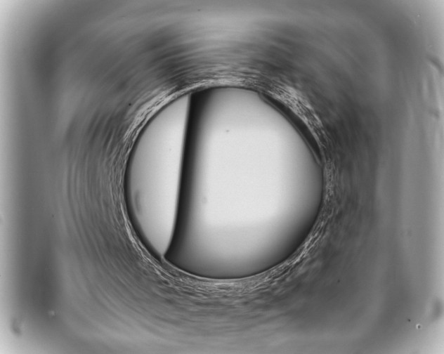 X0000094200001200710260922