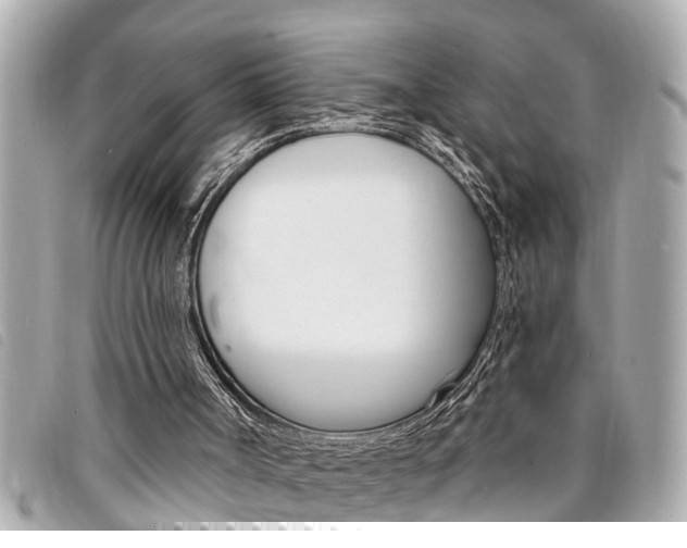 X0000094200002200710260922