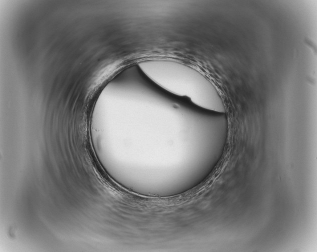 X0000094200005200710260922