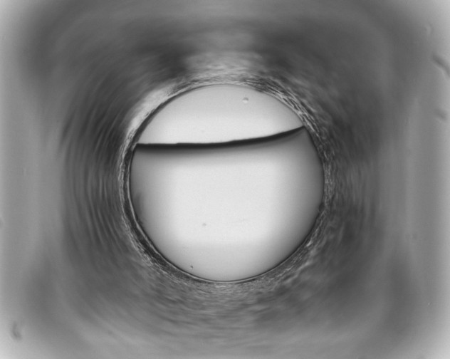 X0000094200006200710260922