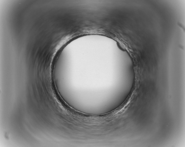 X0000094200008200710260922