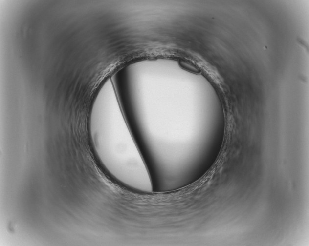 X0000094200009200710260922