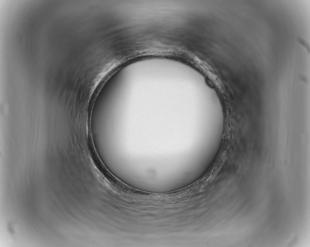 X0000094200011200710260922