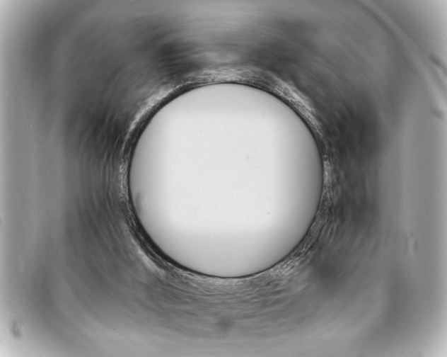 X0000094200012200710260922