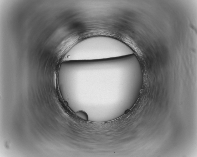 X0000094200014200710260922