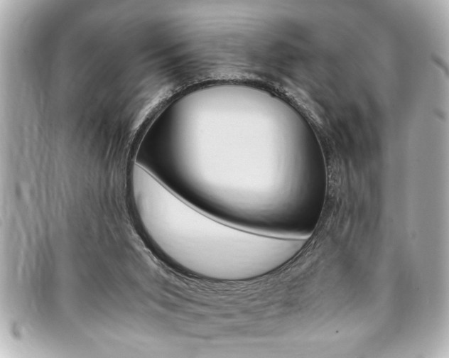 X0000094200015200710260922