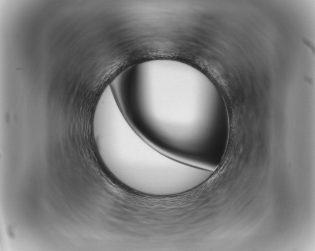 X0000094200017200710260922